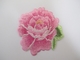 ขนาดที่กำหนดเองเหล็กบนแพทช์เย็บปักถักร้อย Pink Rose Herbaceous Peony Flower